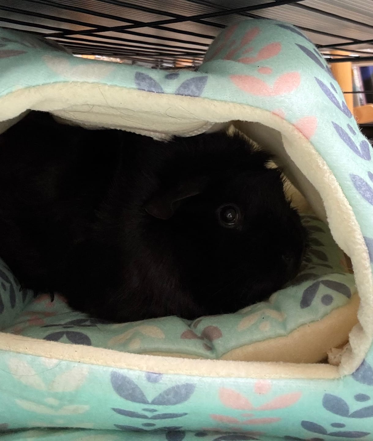 Customer photo review of Homely Fleece Hidey | Nordic Nature