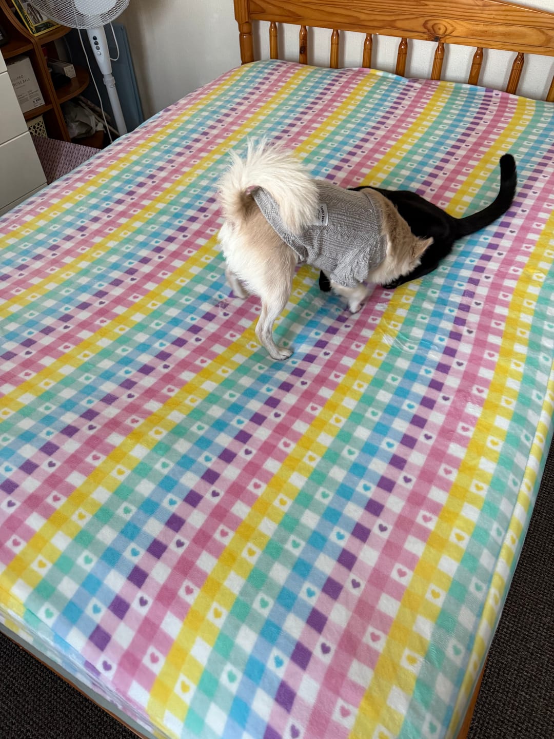 Customer photo review of Happy Hearts Check Cuddle Fleece Fabric