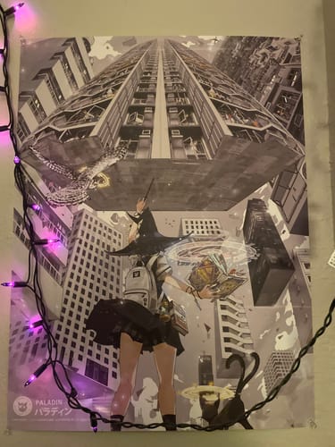 Customer photo review of Paladin (18x24)