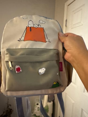 Customer photo review of Snoopy Lunch Bag