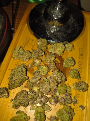 Customer photo review of Jet Fuel Gelato Indoor - Bulk - Hybrid