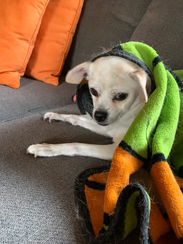 Customer photo review of DA-1™ Daily All-in-One Complete Care