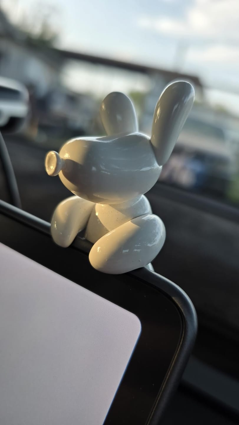 Customer photo review of EVAAM® Dog Mode Mini Screen Decoration For Tesla Model 3/Y