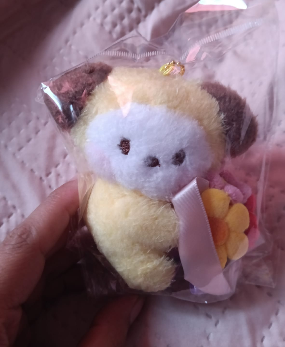 Customer photo review of BT21 - BOUQUET MININI PLUSH KEYRING