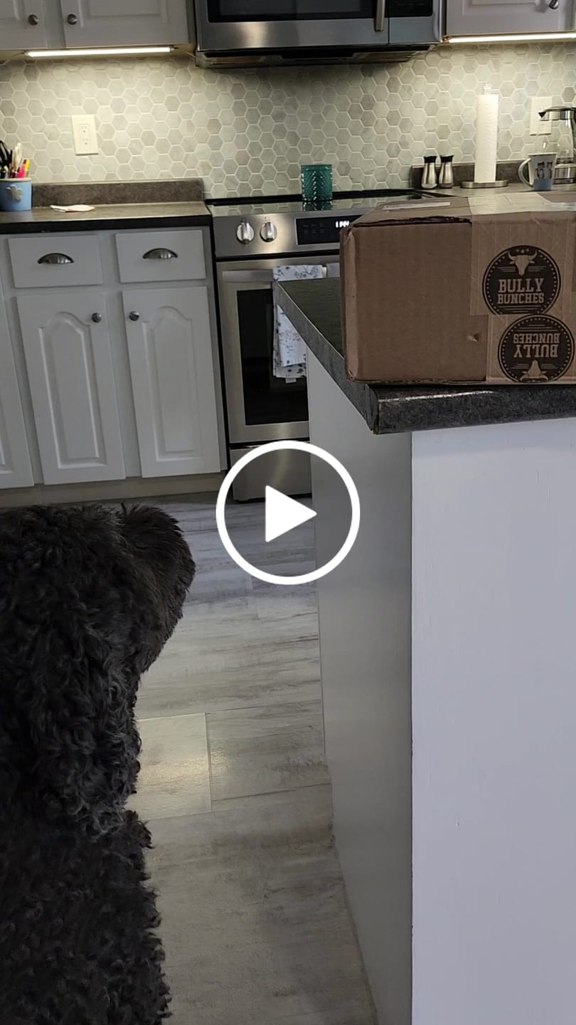 Customer video review of Small Bully Stick Ring