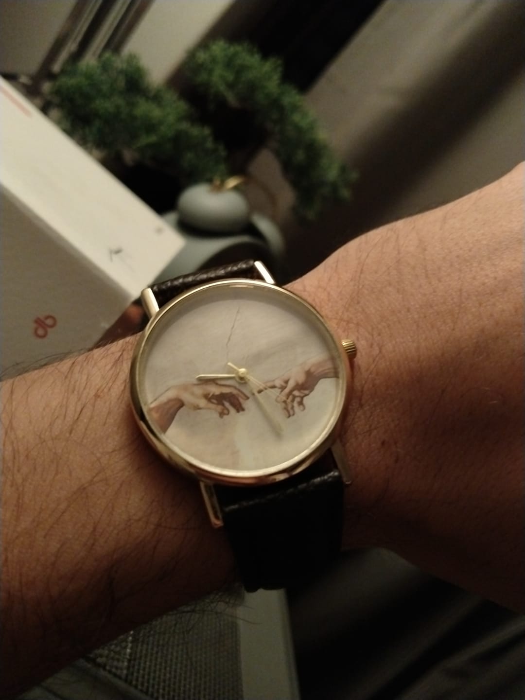 Customer photo review of Michelangelo The creation of Adam Watch