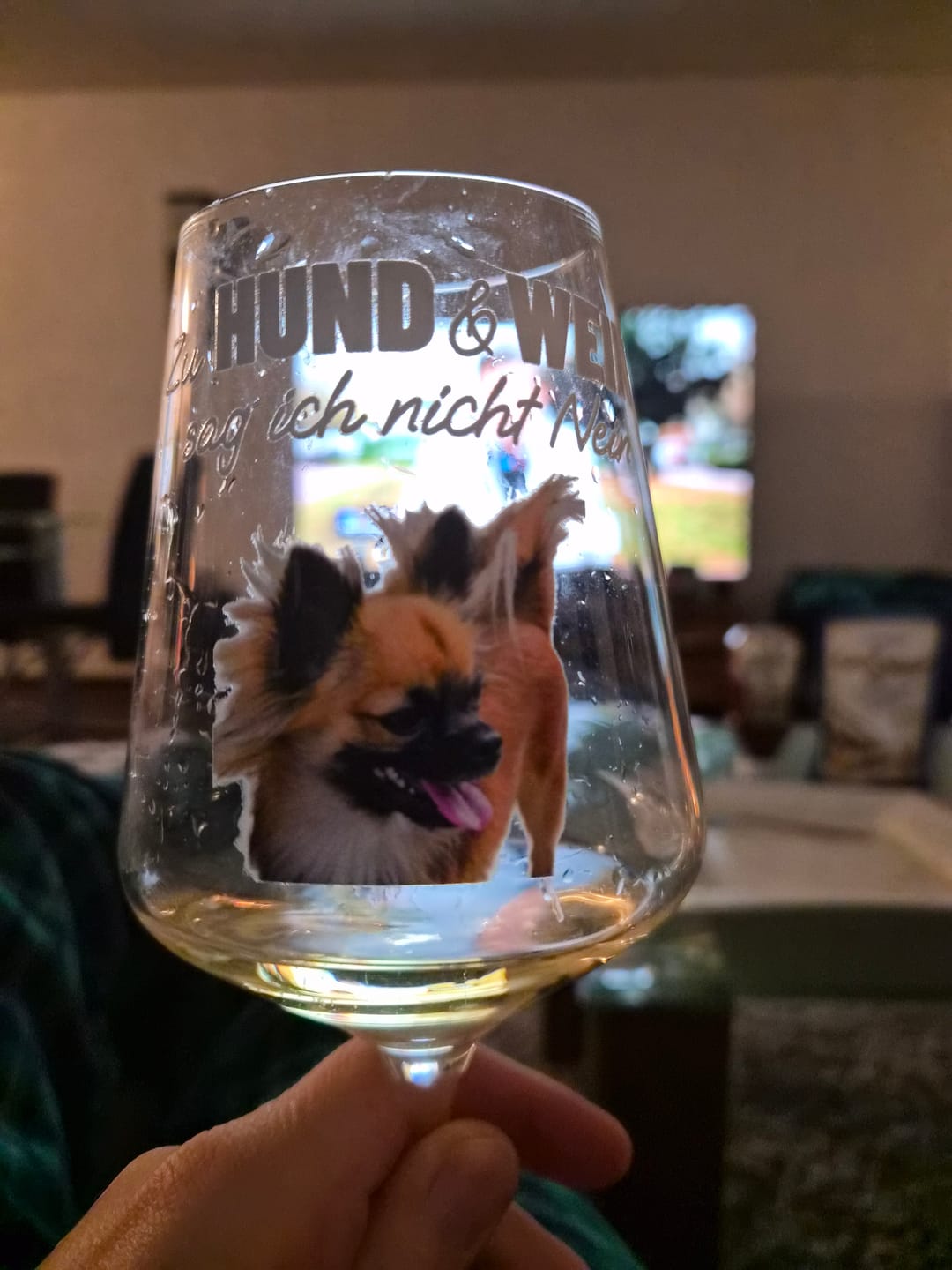 Customer photo review of Zu Hund und Wein sag ich nicht nein - Individuelles Weinglas