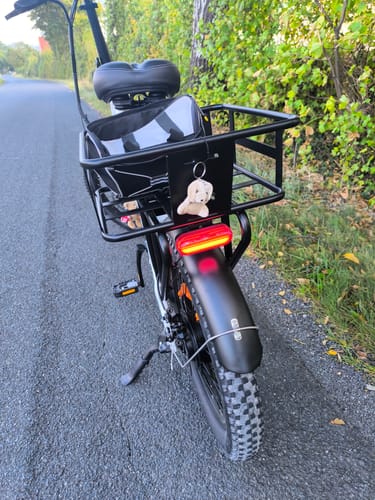 Customer photo review of Engwe L20 SE 250W 20" Foldable Electric Bike 561Wh Trekking Bike Step-through E-bike 36V 15.6Ah Battery [Pre-Order]