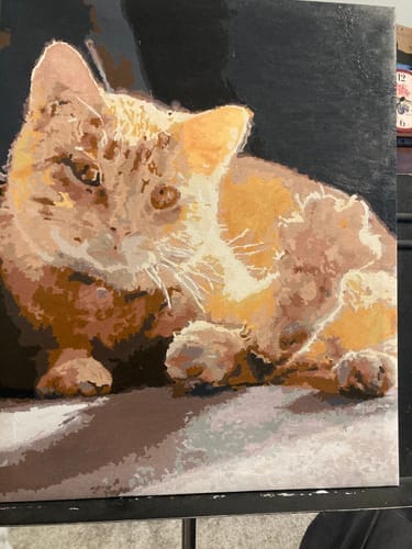 Customer photo review of Custom Pet Paint By Numbers