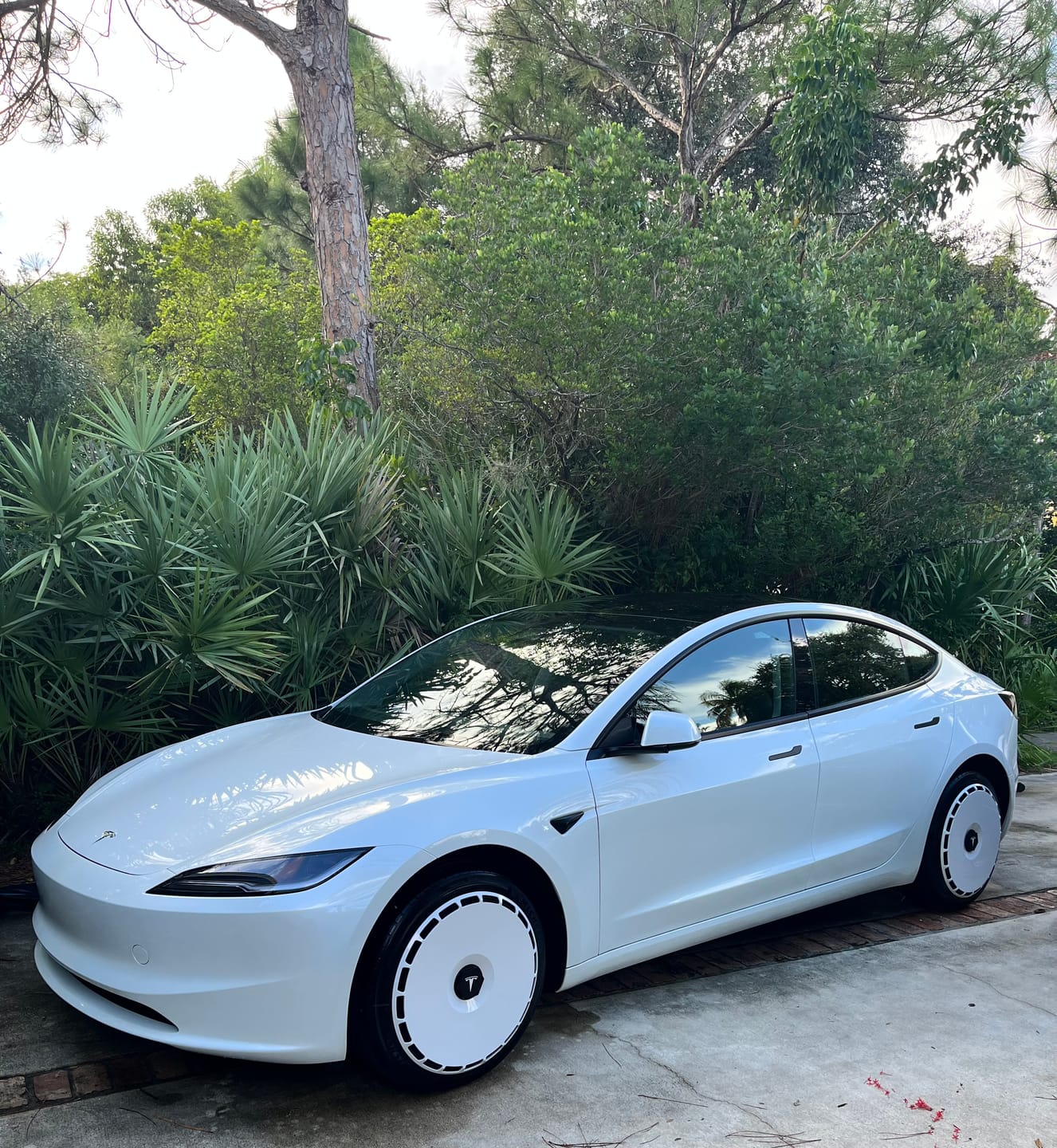 Customer photo review of EVAAM® Stylish Wheel Hubcap For Tesla Model 3/Y (4 PCS)