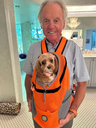 Customer photo review of The Voyager - Dog/Cat Backpack Carrier - For Small/Medium Pets