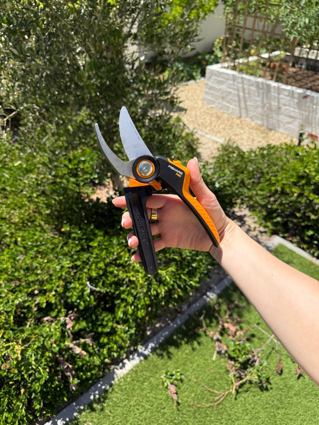 Customer photo review of PowerGear Bypass Pruner L XSeries (P961)