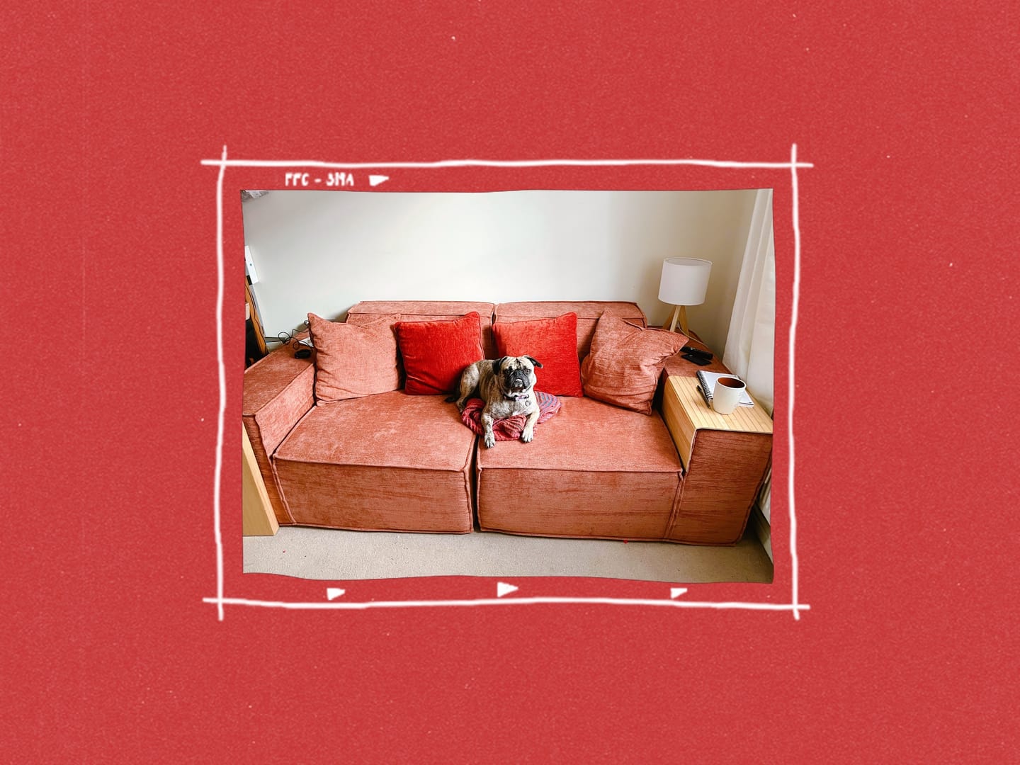 Customer photo review of M1 Sofa Loveseat