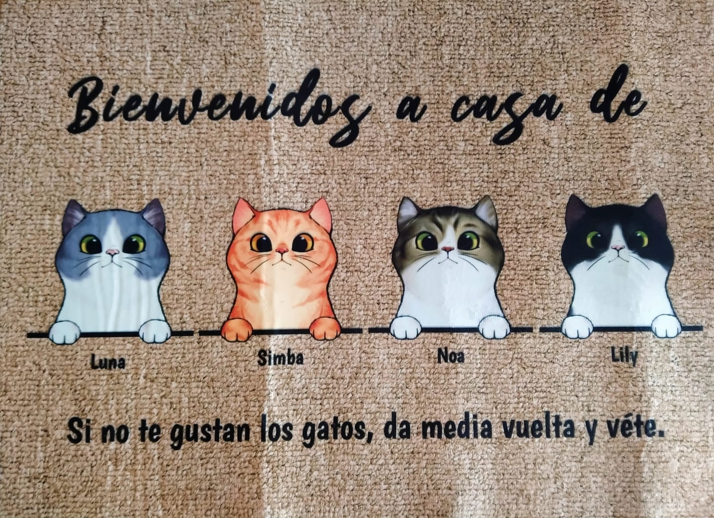 Customer photo review of Bienvenidos a lo de gatos curiosos - Felpudo personalizado