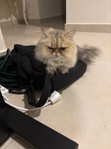 Customer photo review of SPOTMINDERS. Tracking Card