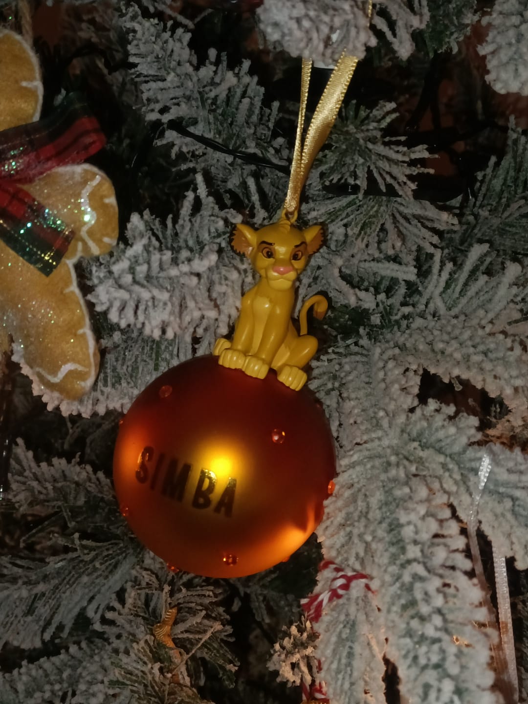 Customer photo review of Disney: Simba - Palla