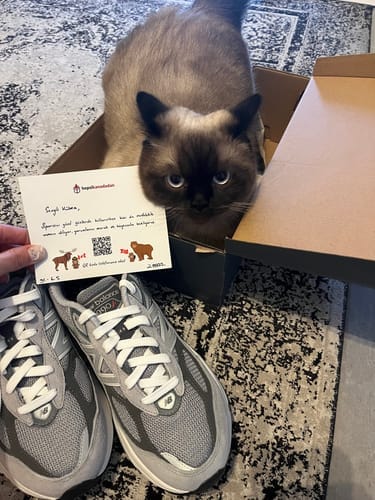 Customer photo review of New Balance 990v6 Grey Junior GC990GL6