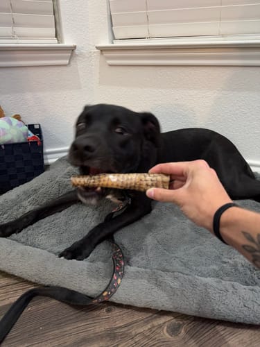 Customer photo review of Mystery Box