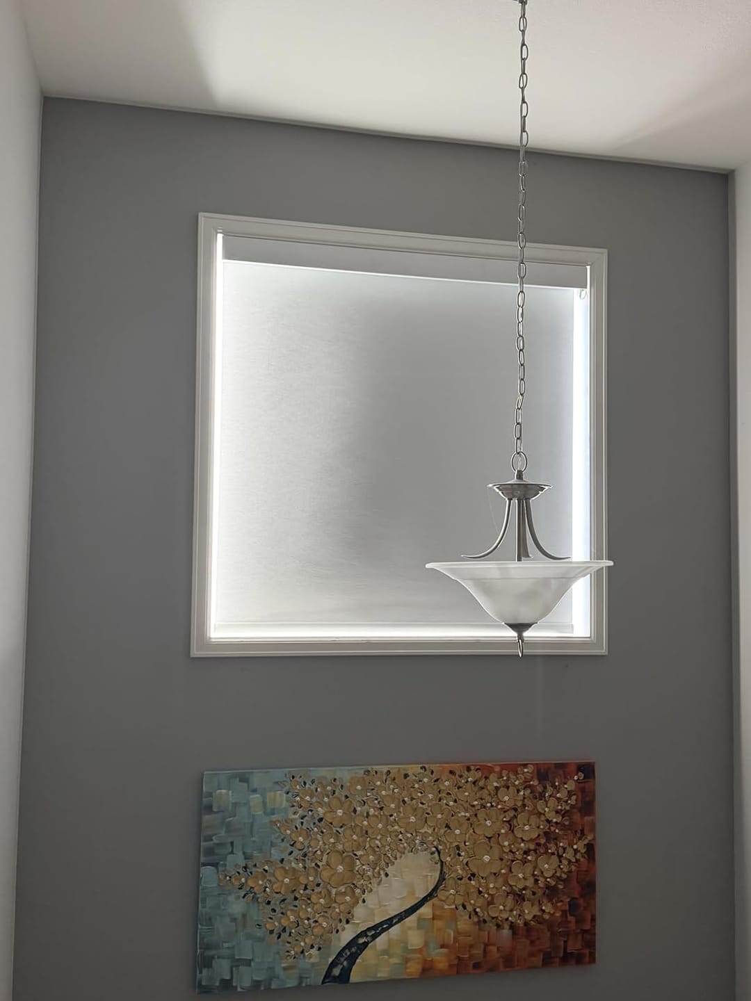 Customer photo review of Bringnox Motorized Roller Shades 100% Blackout Cream