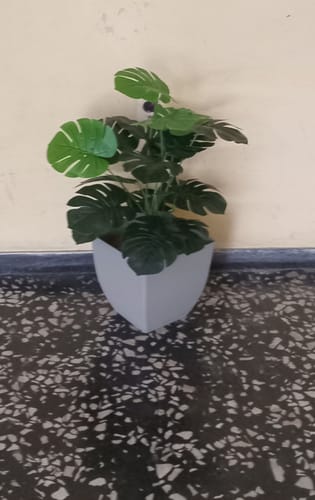 Customer photo review of Planta Artificial Monstera Con Maceta Decoración Hogar
