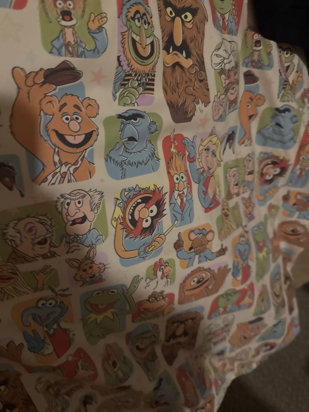 Customer photo review of Disney's The Muppets "Time to Meet the Muppets" – Performance Hoodie