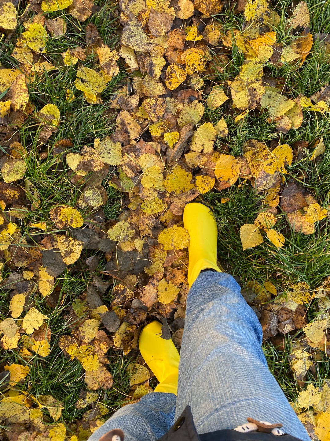 Customer photo review of Brisk Ⅰ - Barfuß-Gummistiefel