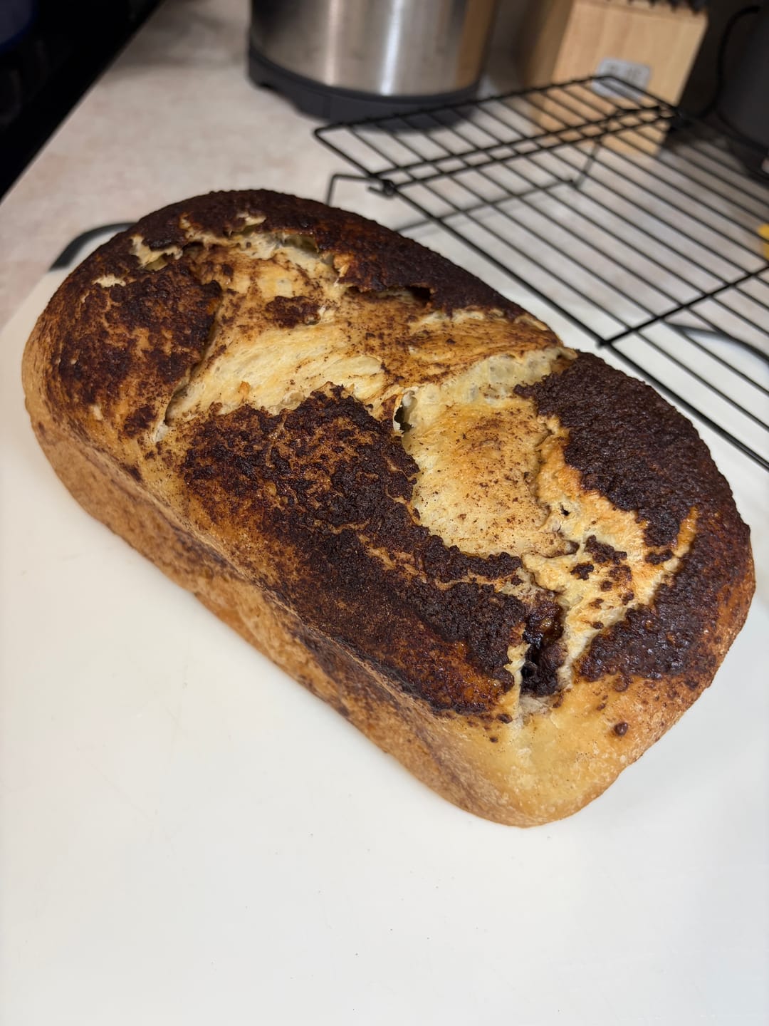 Customer photo review of Sourdough Starter Survival Guide | A Clear, Beginner-Friendly System for Feeding & Maintaining a Healthy Starter