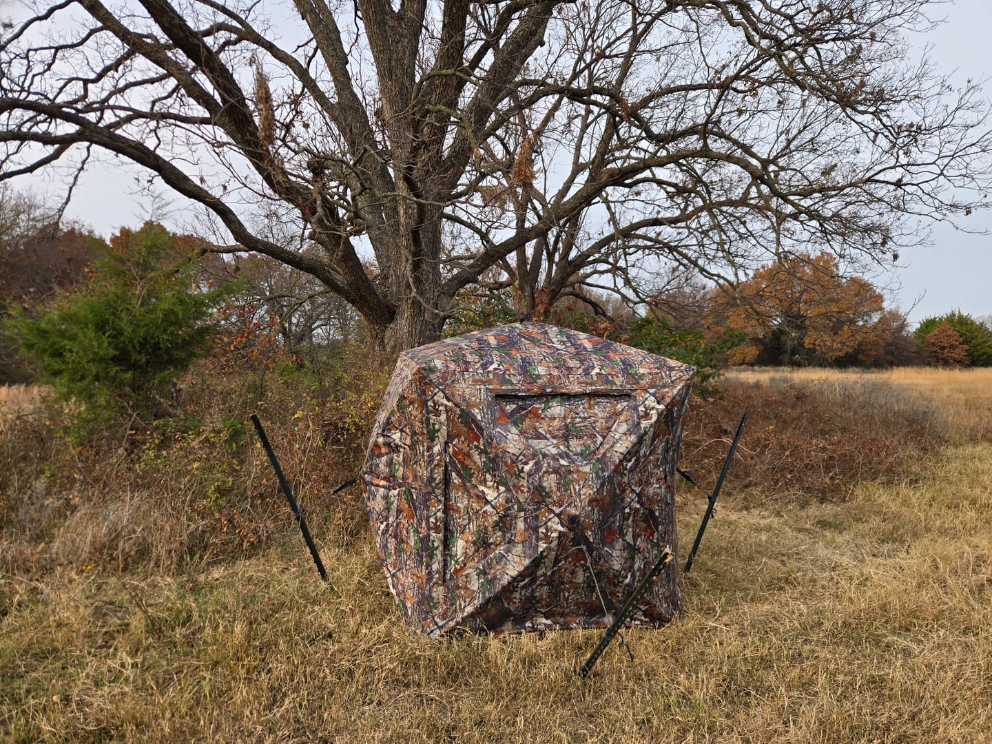 Customer photo review of VisST See Through Camouflage Hunting Blinds | 270° Portable  2-3 Person Pop Up Deer Hunting Ground blind with Silent Magnetic Door