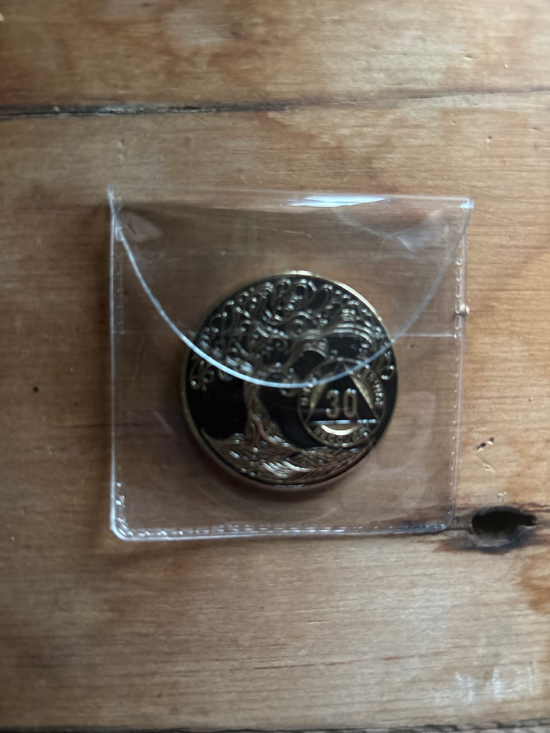 Customer photo review of 1 to 65 Year Sobriety Mint Twisted Tree of Life Gold Plated AA Recovery Medallion/Chip/Coin - Black