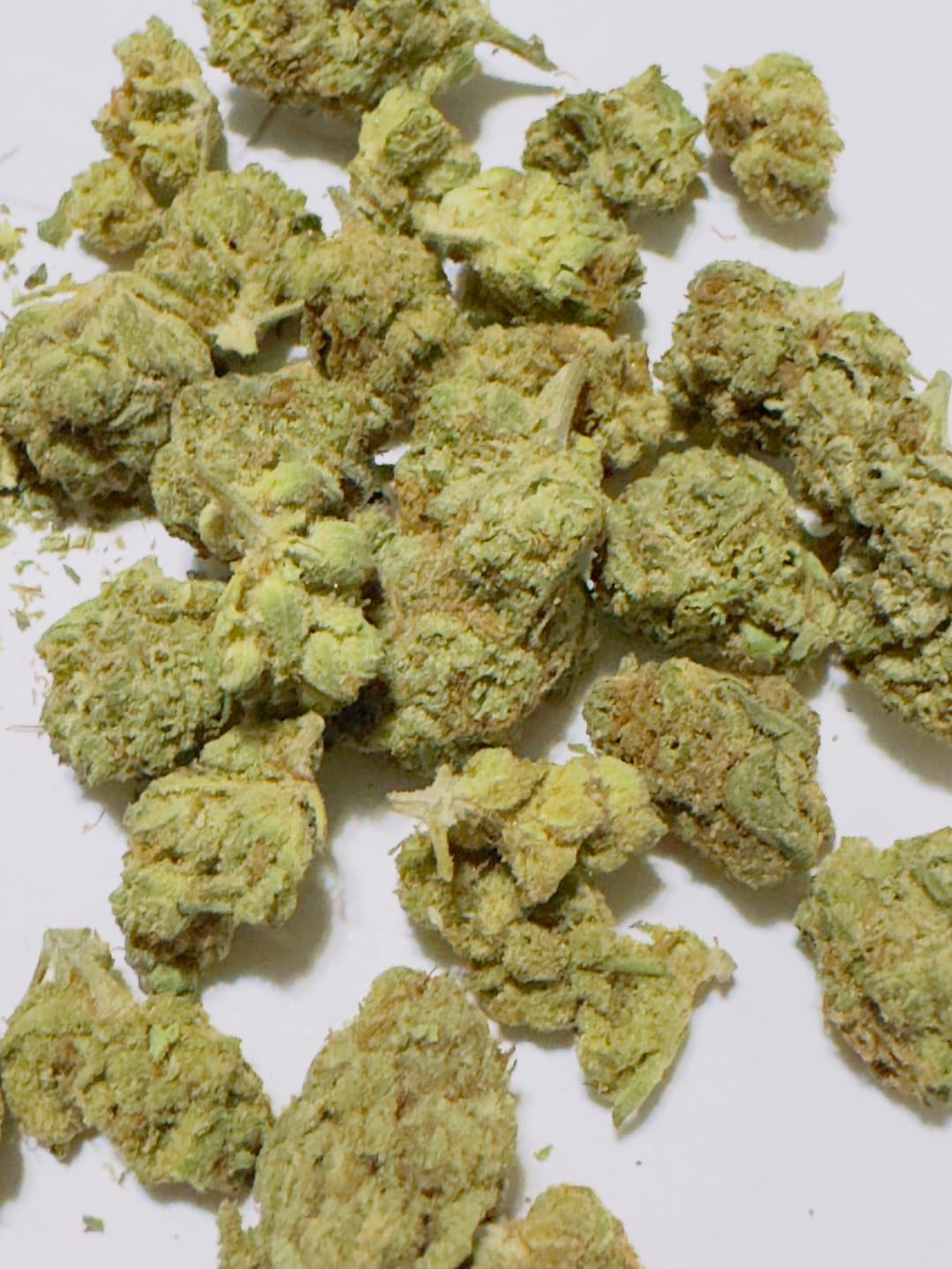 Customer photo review of Greenhouse Flower