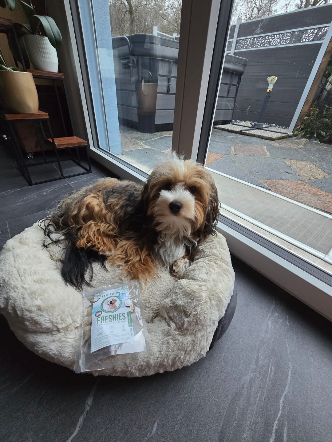 Customer photo review of FESHIES - 100g