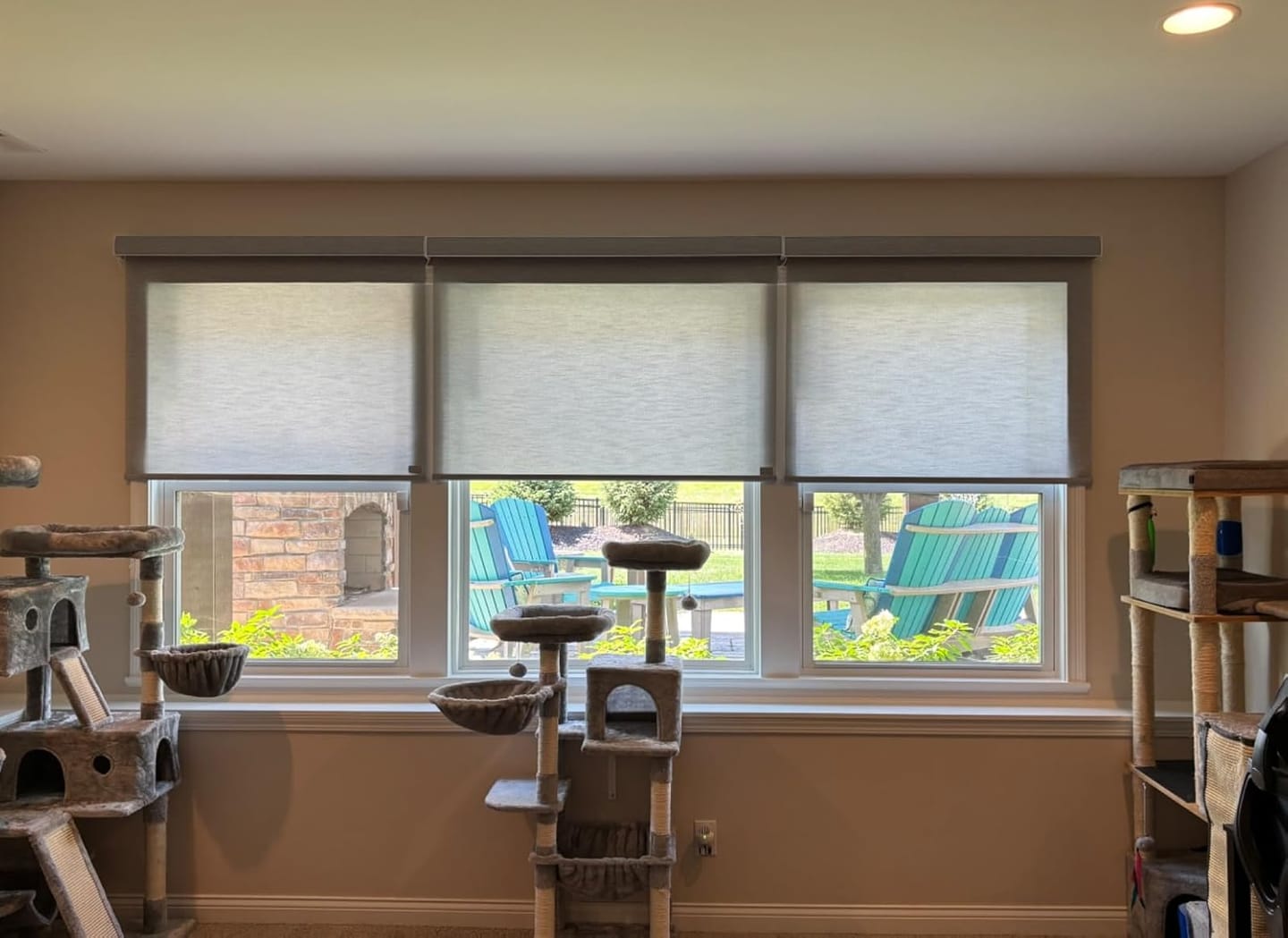 Customer photo review of Bringnox Motorized Light Filtering Roller Shades 70% Blackout Treebark