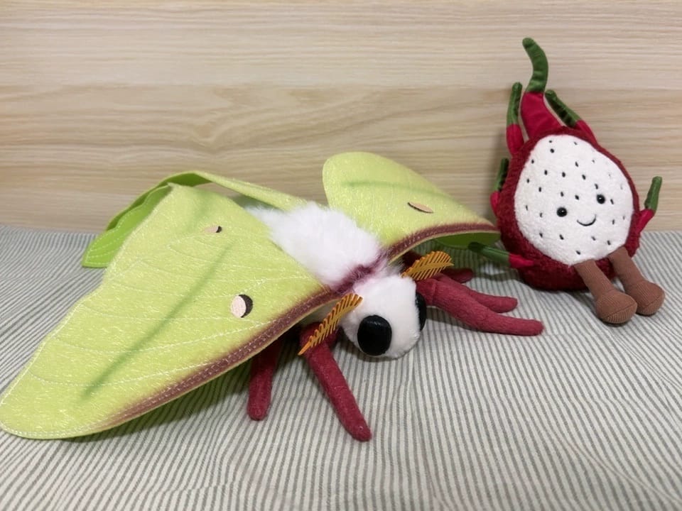 Customer photo review of Indian Moon Moth Plush – Soft, Lifelike, and Perfect for Nature Enthusiasts