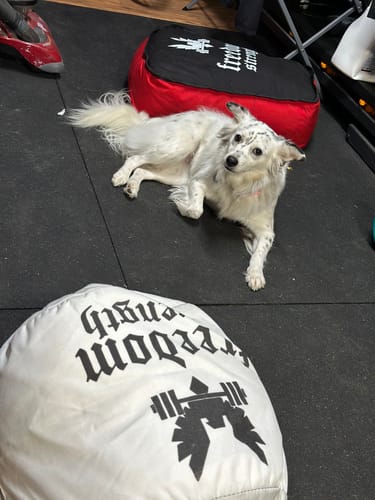 Customer photo review of Strongman Sandbag V3