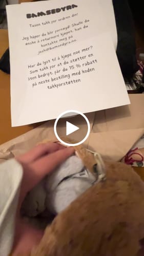 Customer video review of Bartholomew Bear Pouch | Jellycat