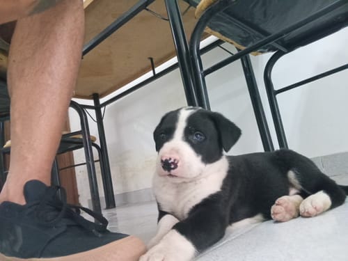 Foto de maxi g.