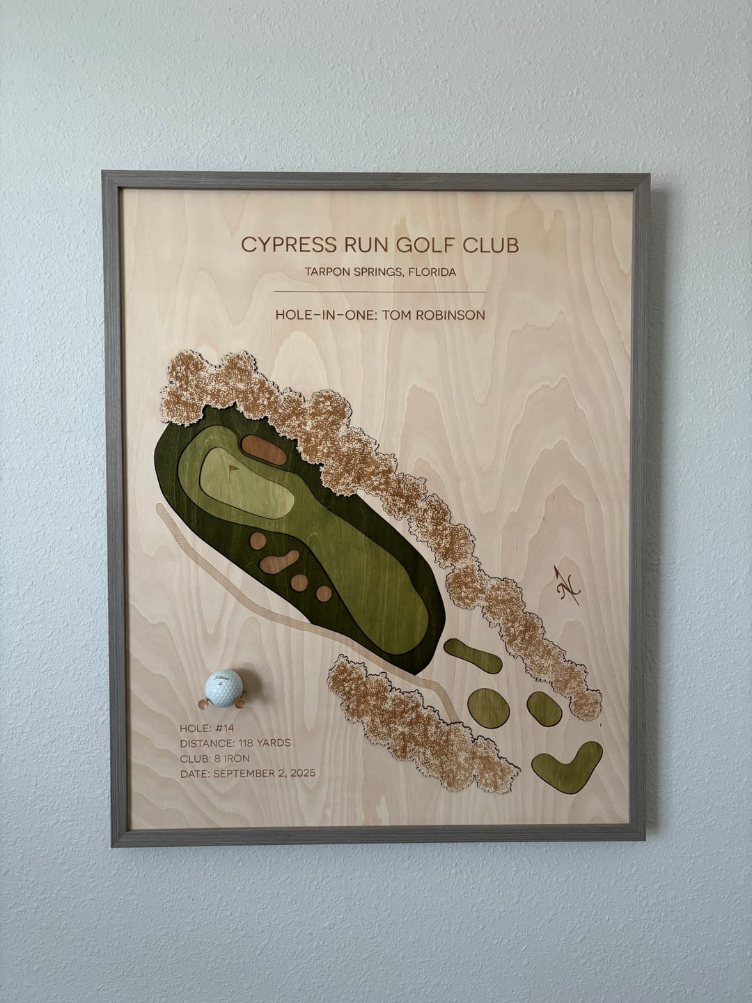 Customer photo review of Personalized Hole-in-One | Single Hole Golf Art