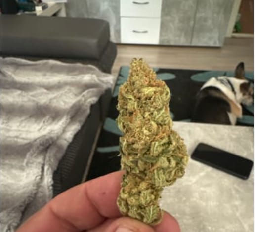 Customer photo review of Starterpaket: 20G GreenX + Papes, Tips & Grinder