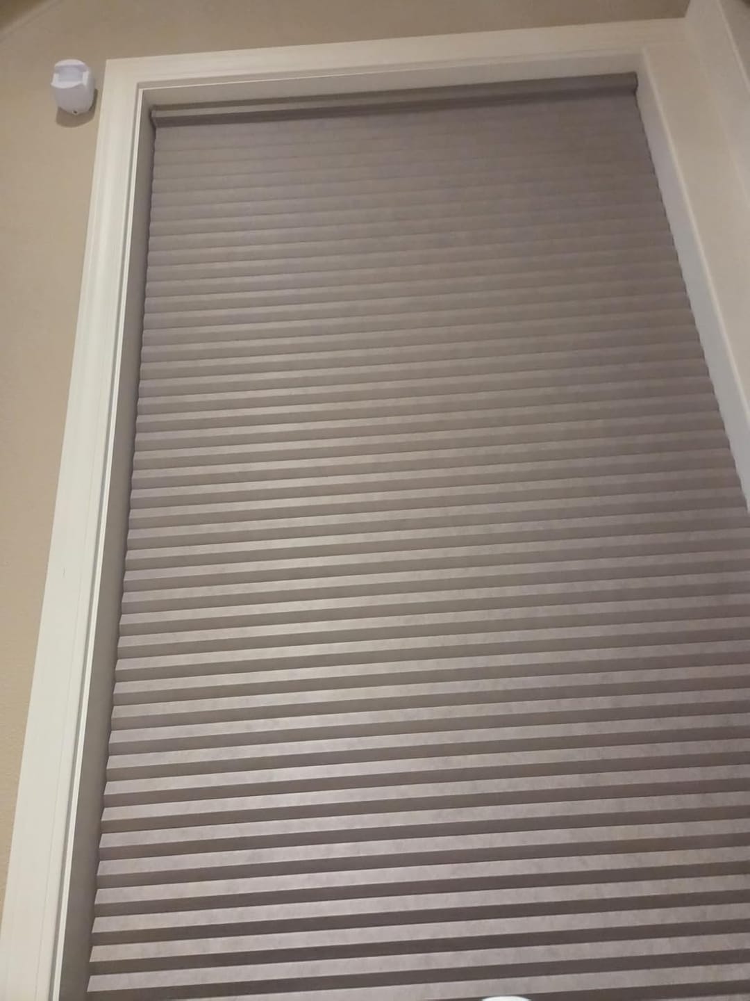 Customer photo review of Bringnox Blackout Motorized Cellular Shades
