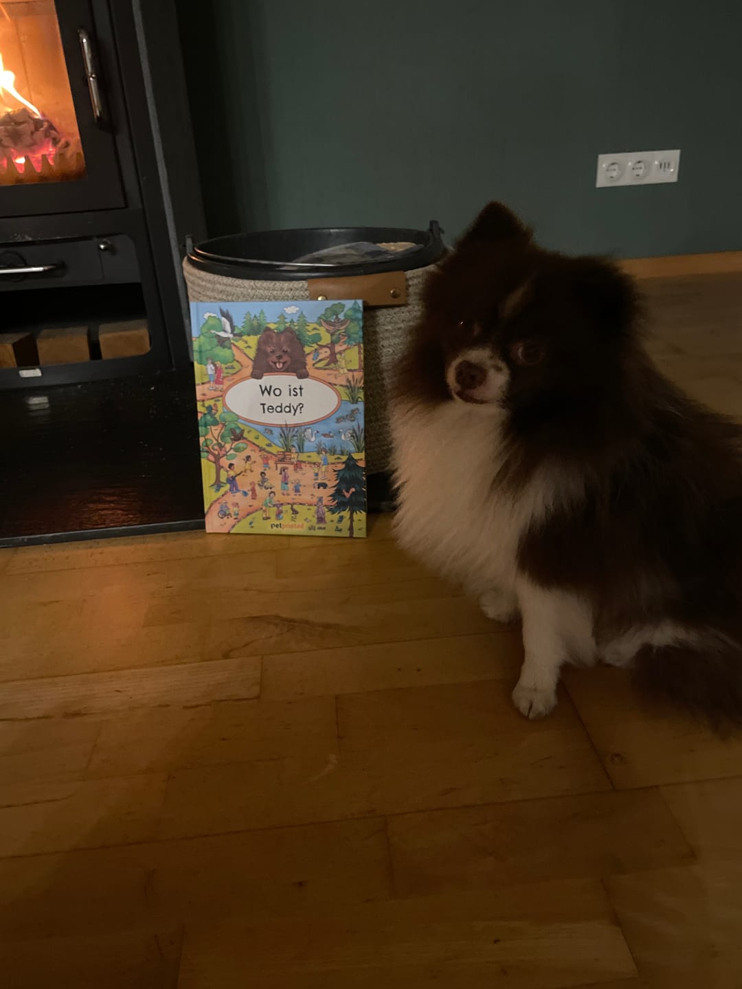 Customer photo review of Wo bist du? - Personalisiertes Hunde-Wimmelbuch