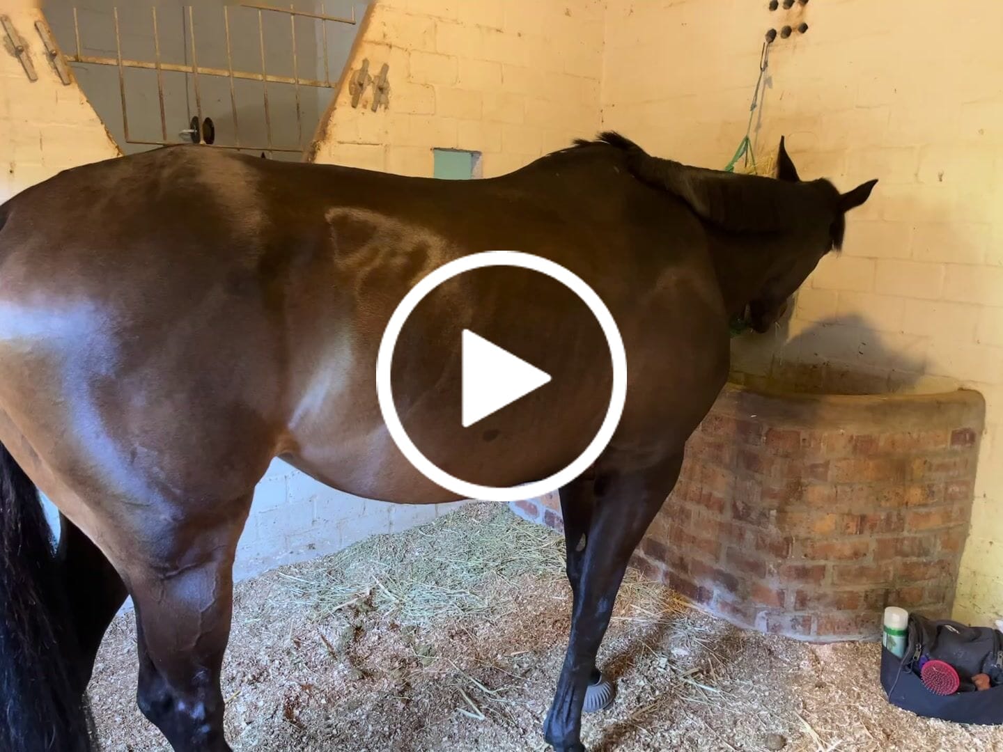 Customer video review of Flexcare Equine (Joint Supplement For Horses)