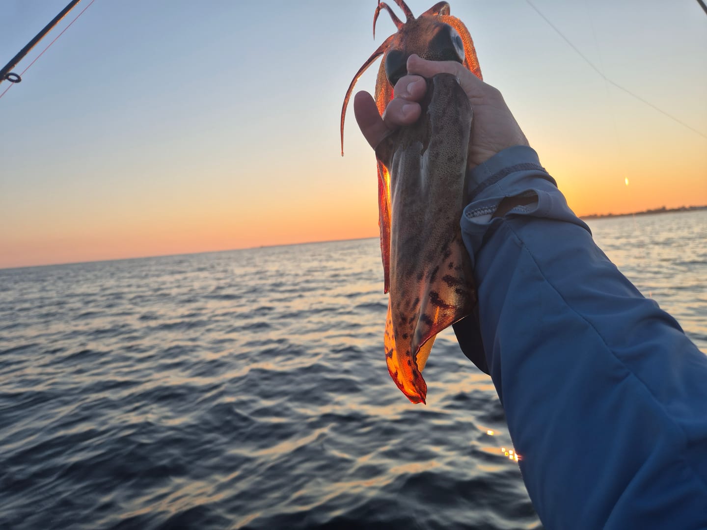 Customer photo review of White Knight Squid Jig (Slow Sinking)
