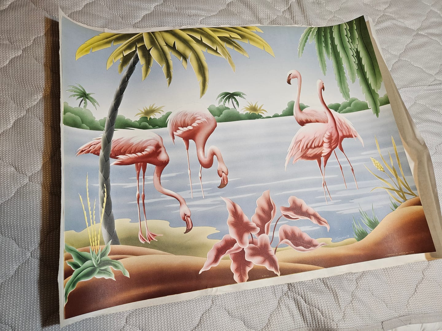 Customer photo review of Flamingos by A.T. Toran | 1940s Vintage Flamingo Lithograph | Turner Tropical Wall Art