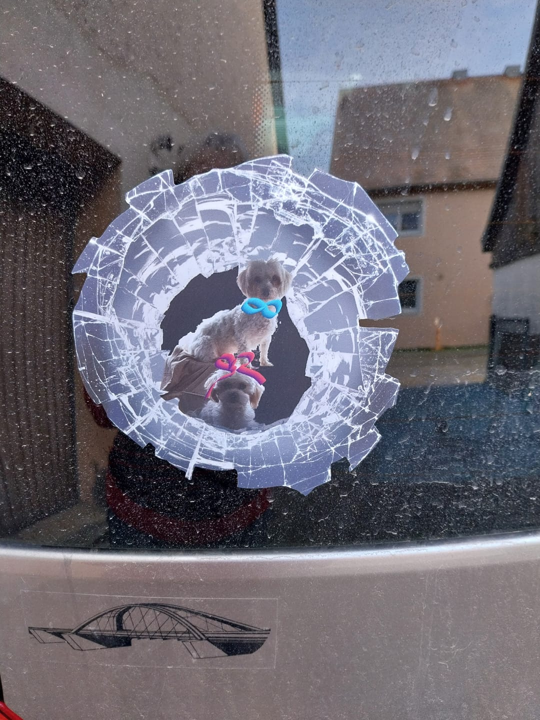 Customer photo review of Spähendes Foto Glas - Individueller Autoaufkleber