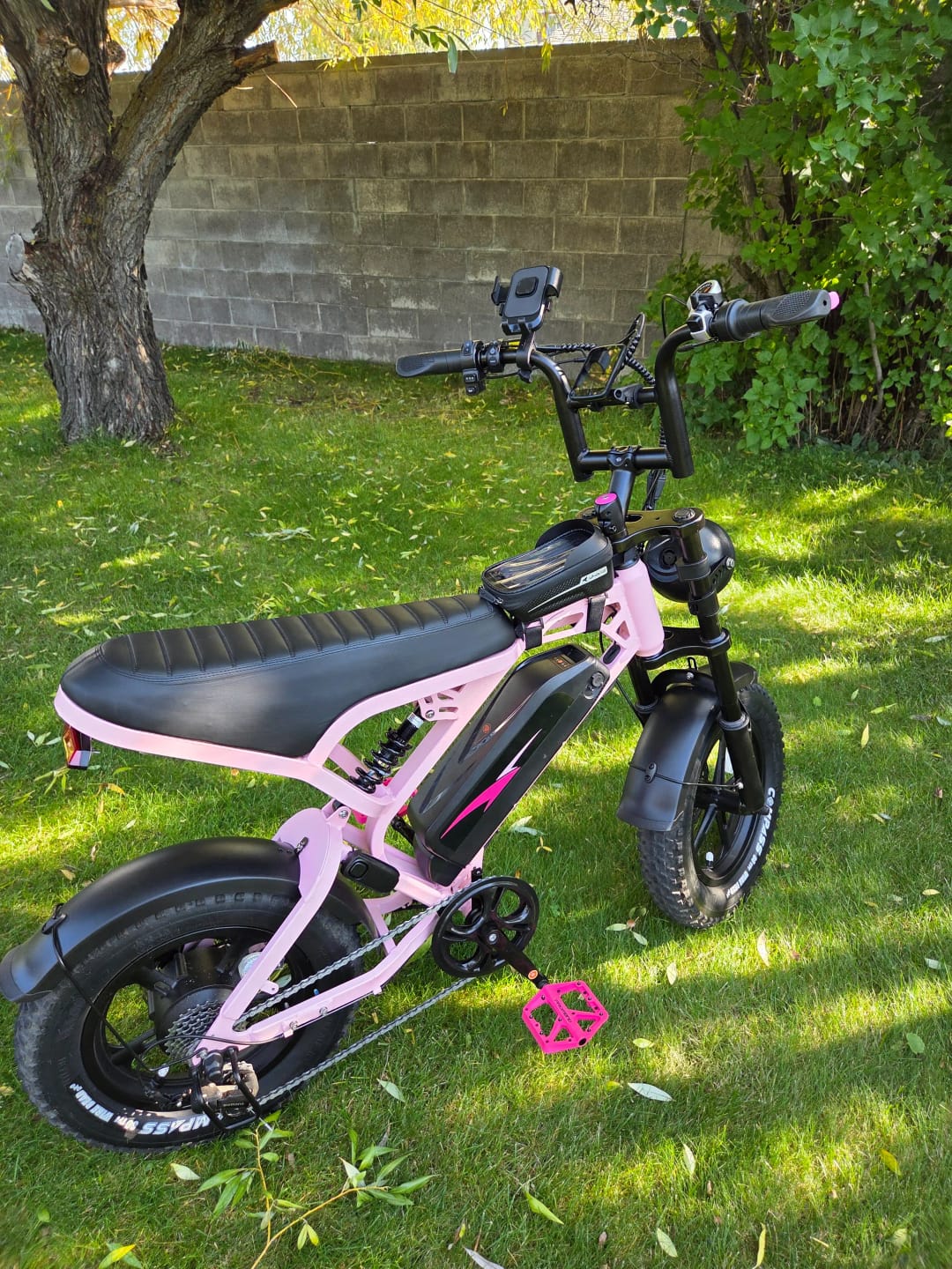 Customer photo review of Tamobyke T16 Commuter Electric Bike