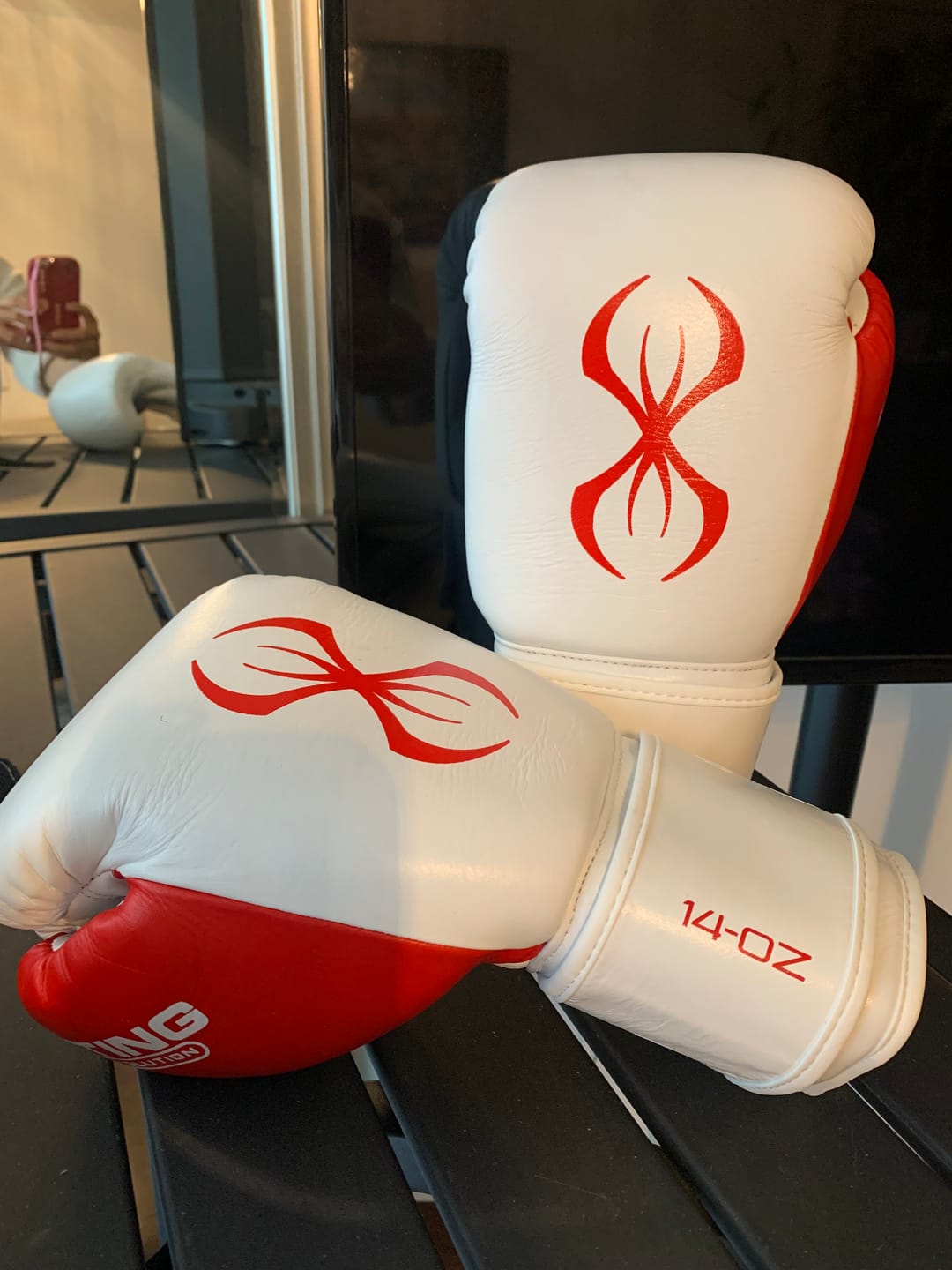 Customer photo review of Evolution Pro Boxing Glove - North Fury Edition