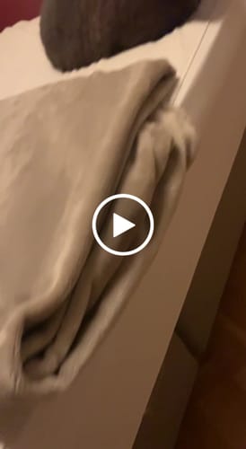 Customer video review of Bettlaken | Standard