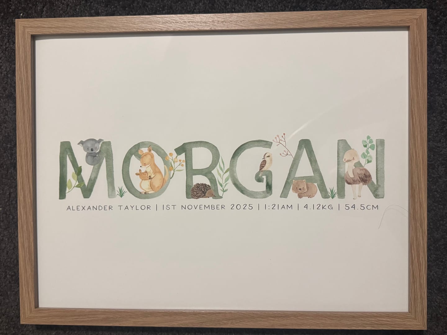 Customer photo review of Australian Animals Name Print