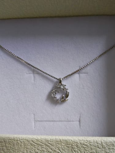 Customer photo review of Zoe Garden Necklace
