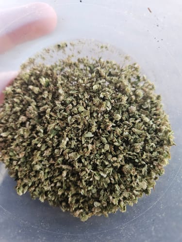 Customer photo review of Guava Lato - 28 Grams - Hybrid